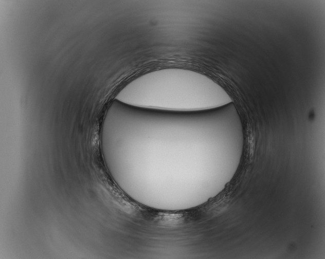 X0000116110665200911230956