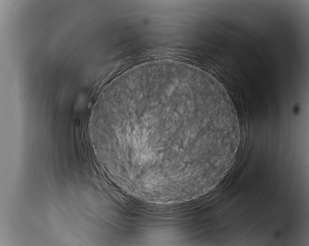 X0000116110671200911230956