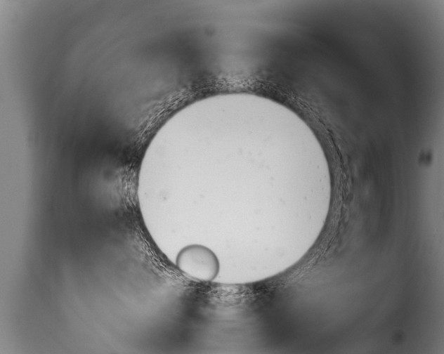 X0000116110672200911230956