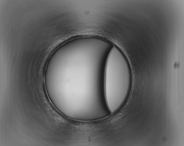 X0000116110673200911230956