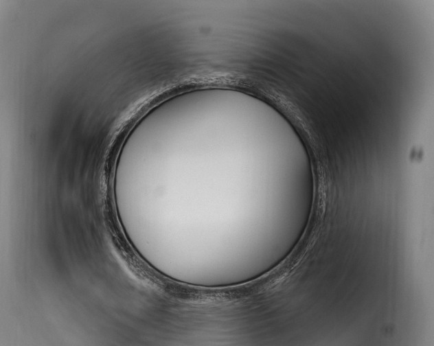 X0000116110674200911230956