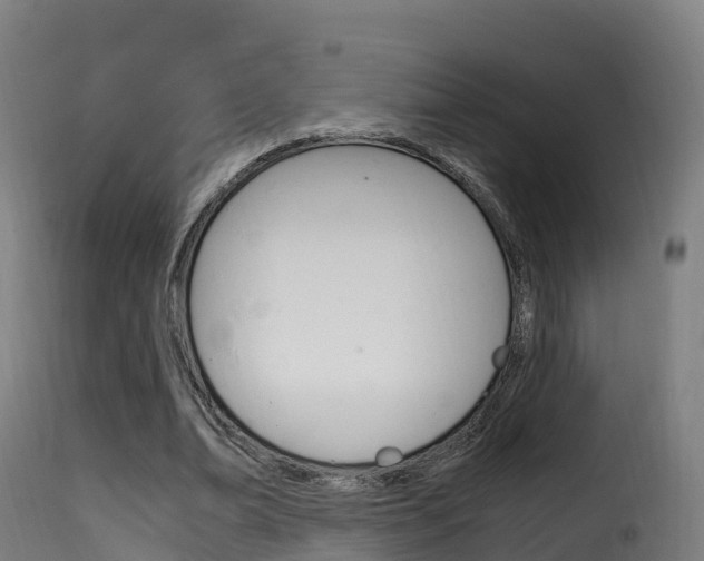 X0000116110678200911230956