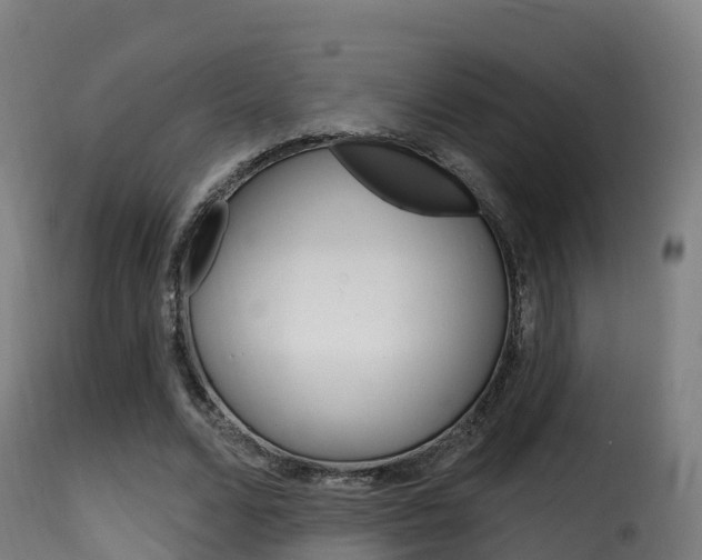 X0000116110680200911230956