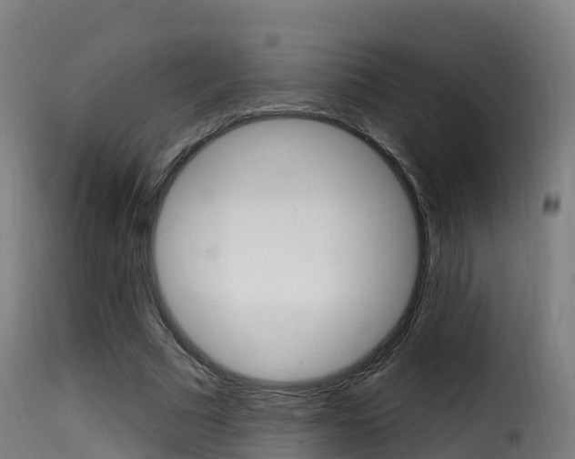 X0000116110681200911230956