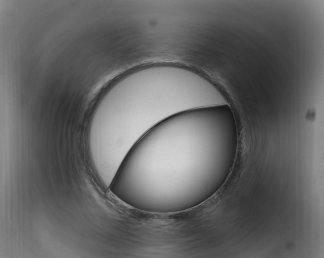X0000116110684200911230956