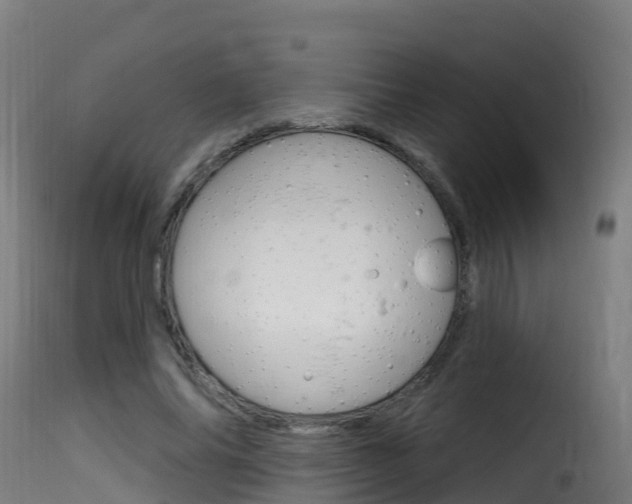 X0000116110686200911230955