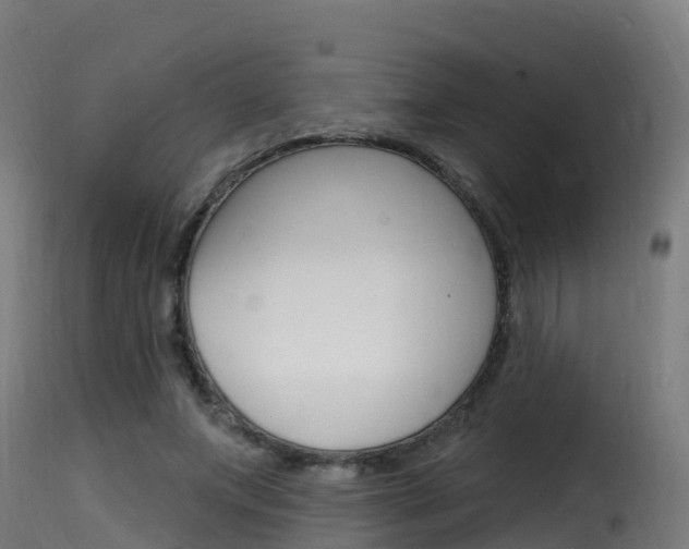 X0000116110687200911230955