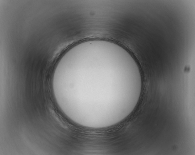 X0000116110688200911230955