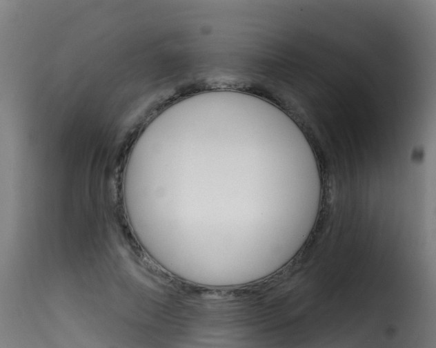 X0000116110690200911230955
