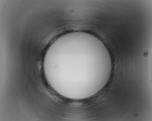 X0000116110691200911230955