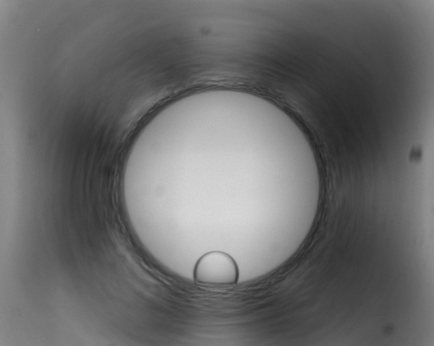 X0000116110692200911230955