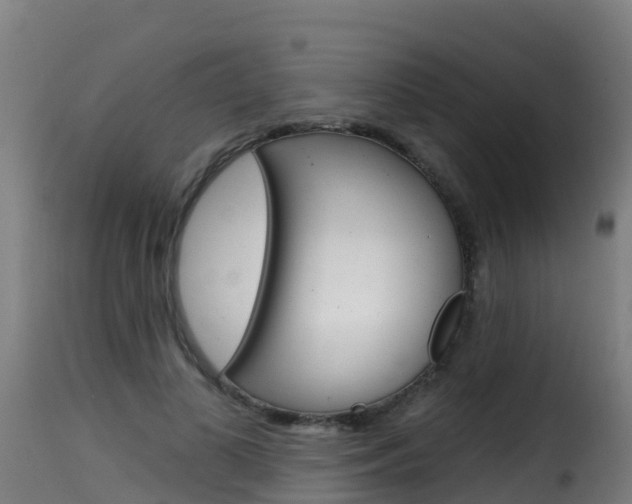 X0000116110693200911230955