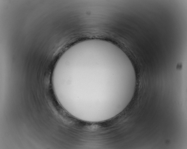 X0000116110695200911230955