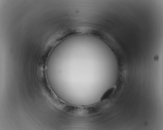 X0000116110696200911230955