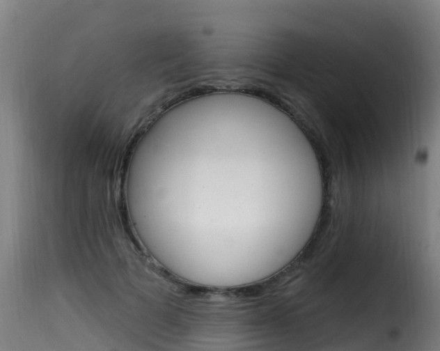 X0000116110697200911230955