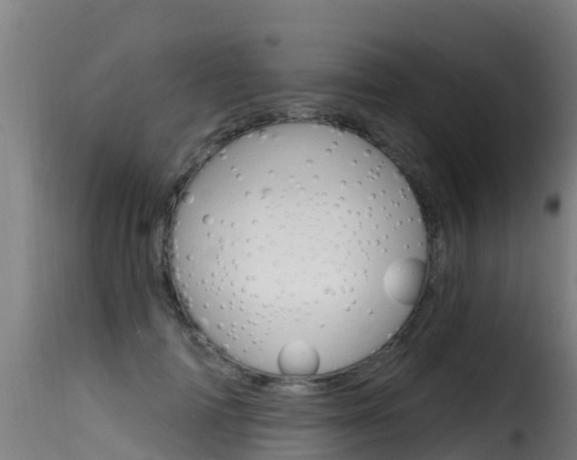 X0000116110698200911230955