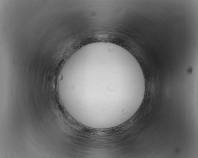 X0000116110702200911230955