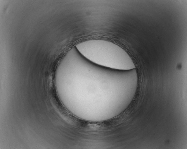 X0000116110703200911230955
