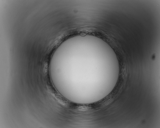 X0000116110708200911230955