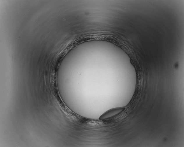 X0000116110712200911230955