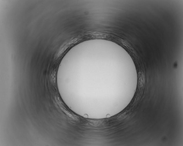 X0000116110713200911230955