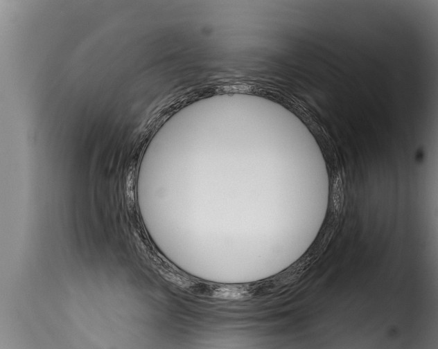 X0000116110714200911230955