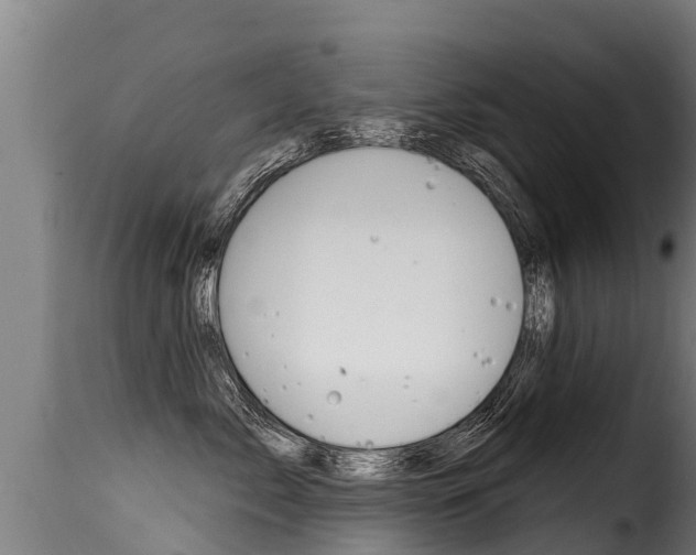 X0000116110717200911230955