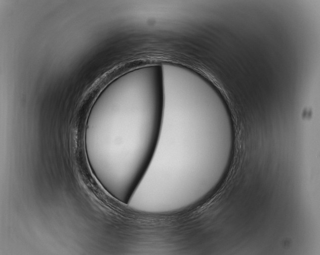 X0000116110722200911230954
