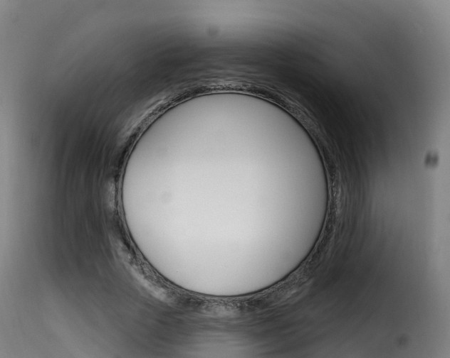 X0000116110729200911230954