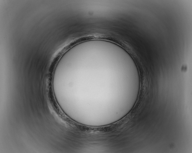 X0000116110730200911230954