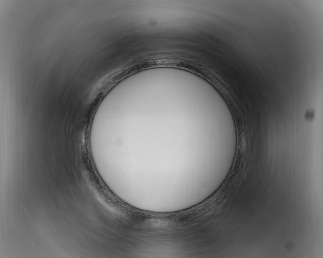 X0000116110733200911230954