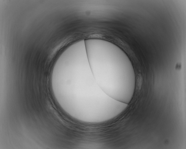 X0000116110735200911230954