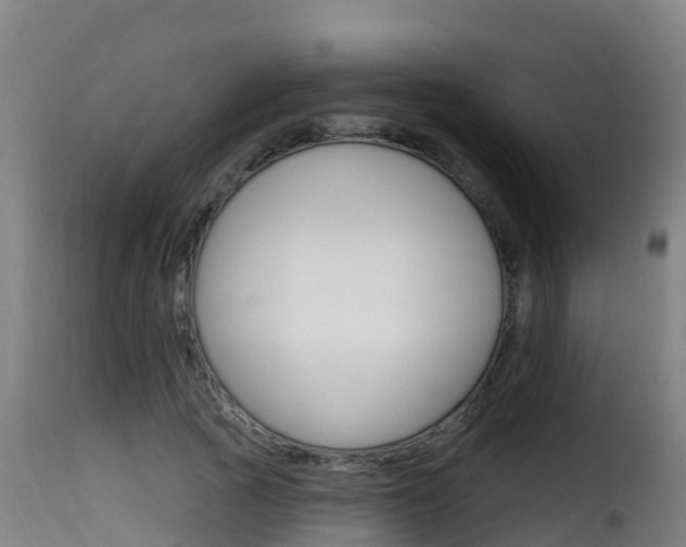 X0000116110737200911230954