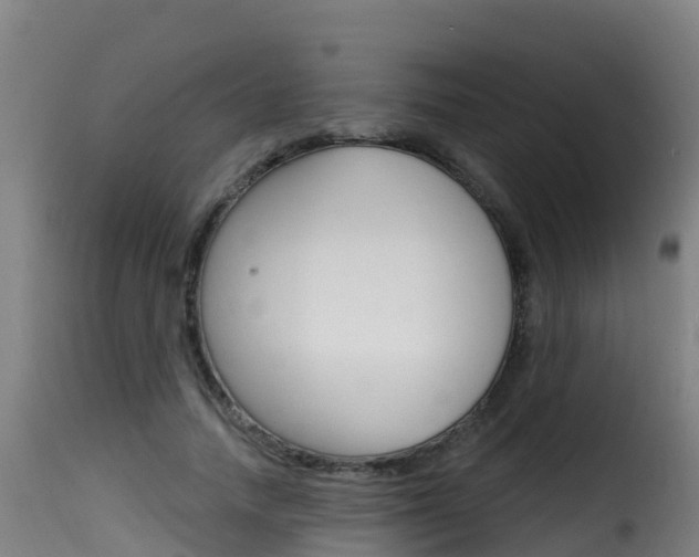 X0000116110738200911230954
