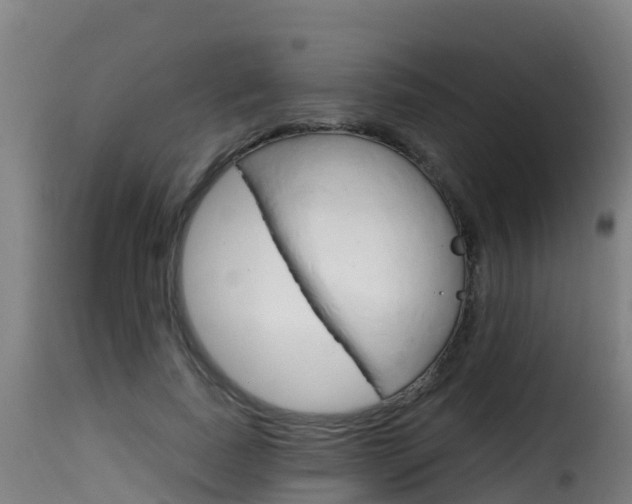 X0000116110739200911230954