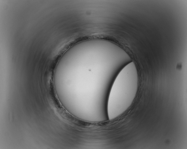 X0000116110742200911230954