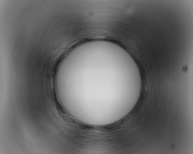 X0000116110743200911230954