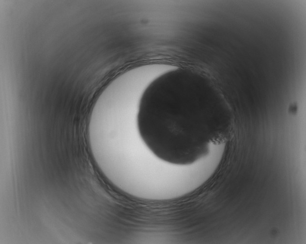 X0000116110745200911230955