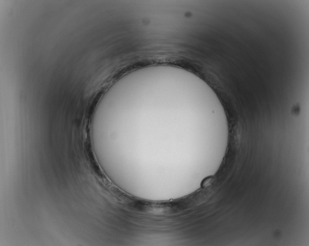 X0000116110746200911230955