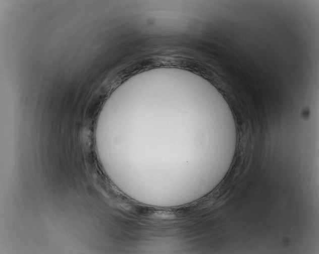 X0000116110749200911230955