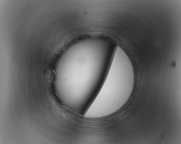 X0000116110750200911230955