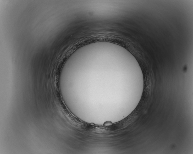 X0000116110758200911230955