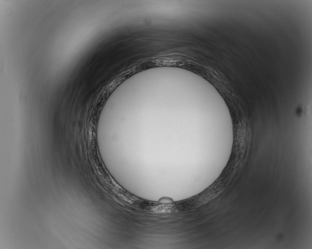 X0000116110761200911230955