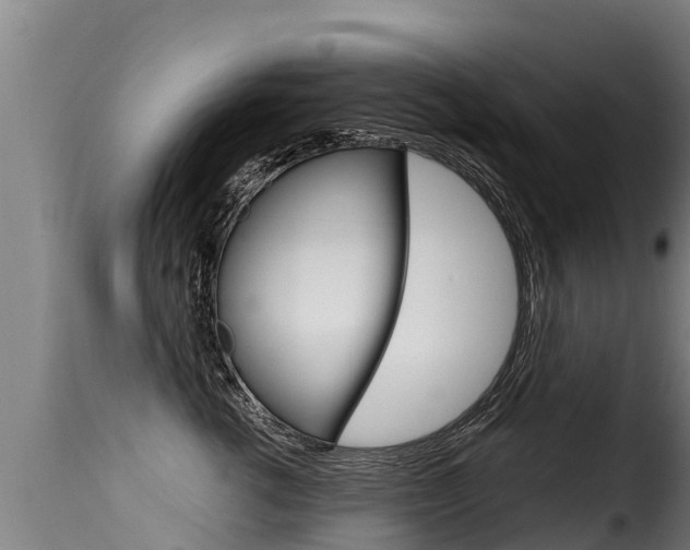X0000116110762200911230955