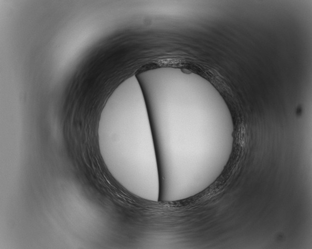 X0000116110763200911230955