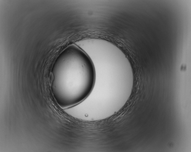 X0000116110769200911230954