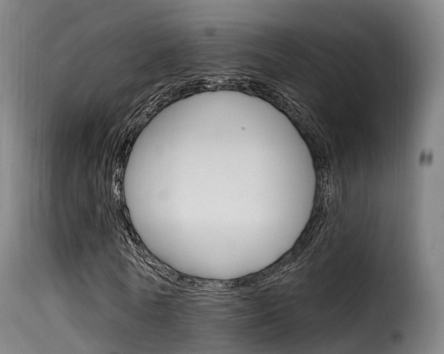 X0000116110770200911230954