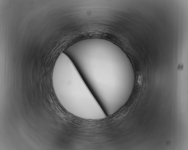 X0000116110771200911230954