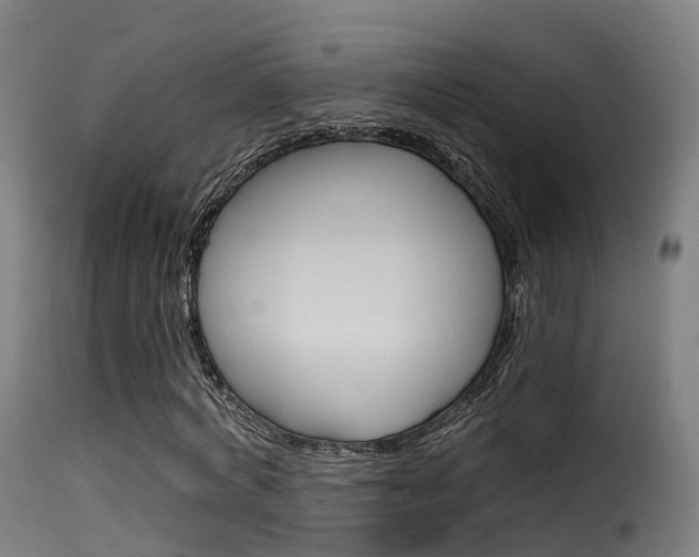 X0000116110772200911230954
