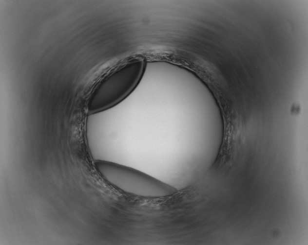 X0000116110773200911230954